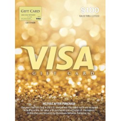 $100美金 VISA 預付卡